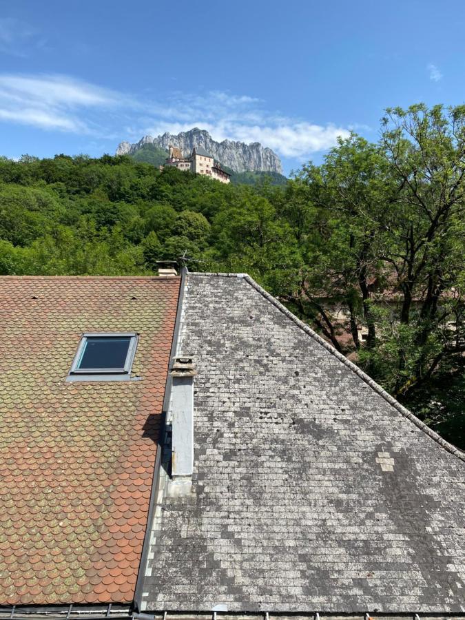 Castle View Menthon Menthon-Saint-Bernard Exterior foto
